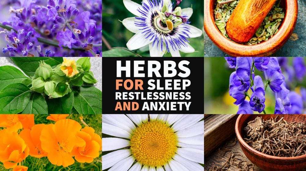A List of Herbs for Sleep, Restlessness, and Anxiety