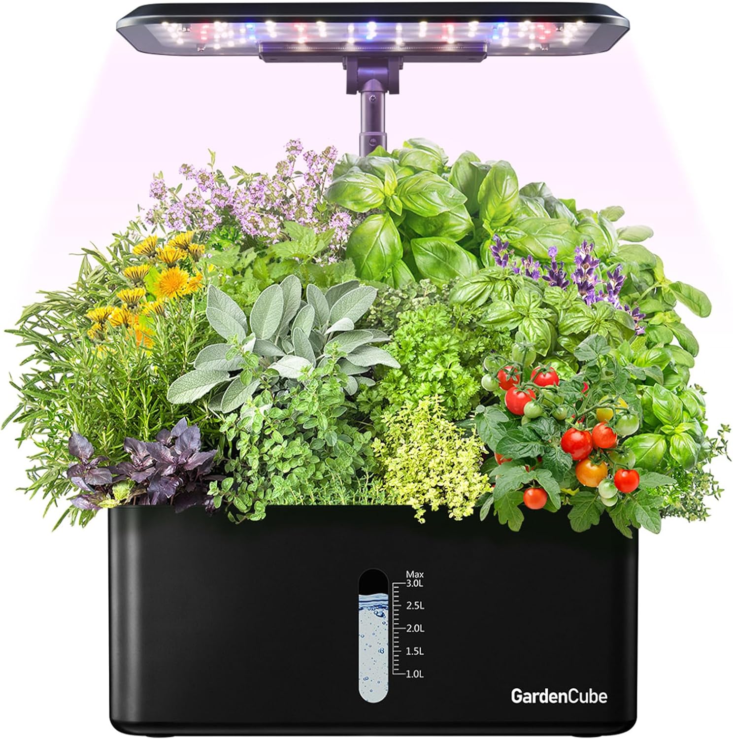 Herb Garden Box