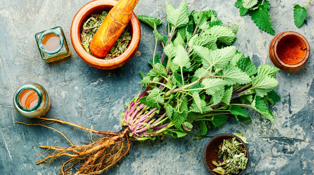 Lemon Balm Herbal Remedy