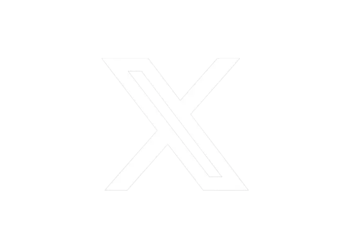 X 'The Everything' Platform